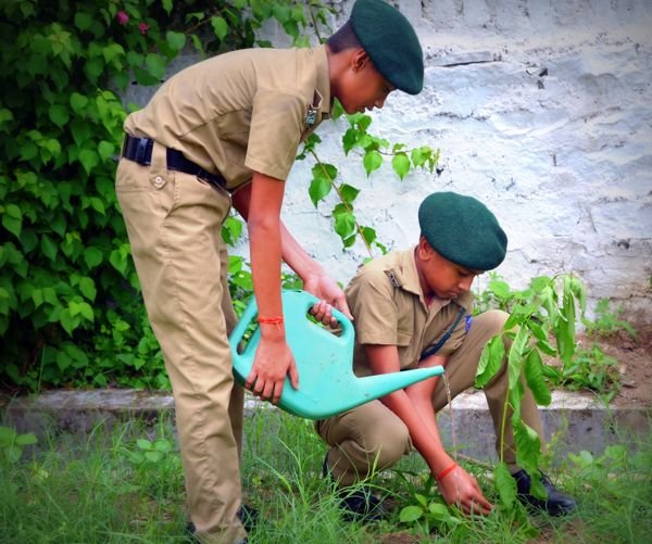 Tree Planting at Sainik School Morena — photo 2
